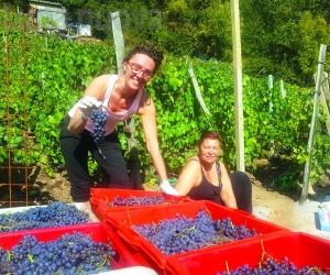 L'Avanà imbocca un nuova strada alla Ramats
