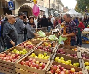 Condove: domenica tutti al mercato che "Non è la Toma"