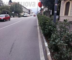 Avigliana, ritocchi all’Imu per pagare il taglio dell’erba