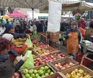 "Porte aperte alla mela" annullato causa Covid