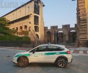 Rivoli, investe una donna: «Non mi sono accorto di nulla»