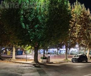 Avigliana, stamattina la ‘Festa dell’albero’ in diretta dal parco