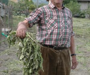Avis, banda e Pian dell'Orso: addio a Giulio Chiaberto