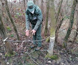Oasi dei Laghi di Caselette: due bracconieri denunciati dalla polizia metropolitana