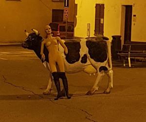 Rivalta, il presepe nel mirino dei vandali 