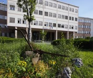 Pianezza, un premio "green" per il Dalmasso