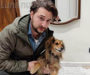 S.Antonino, una carezza per Tommy: raccolta fondi per salvargli la vita