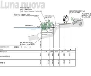 Avigliana, rifare le sponde del lago Grande migliora l’ambiente