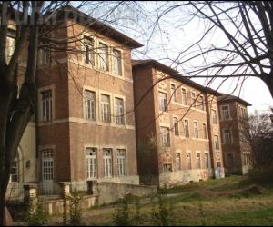 Collegno, liceo Curie: lavori al palo, iscrizioni dimezzate