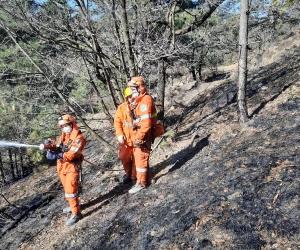 Incendio a Milanere-Caselette: l'intervento delle squadre Aib