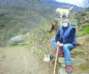 Castagni e olivi,  a Venaus parte la campagna di recupero