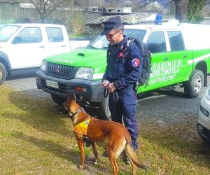 I cani antiveleno di Parco e carabinieri forestali setacciano Venaus