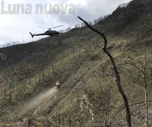 Erba nuova, con l'elicottero, per la Comba delle foglie