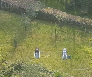 Laura si reinventa e insegna fitness nell'oliveto di Borgone