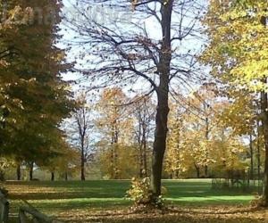 Alpignano, vota parco Bellagarda e fai vincere la Turati