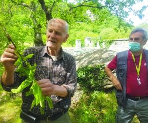 Castagneti, altri due anni di sofferenza