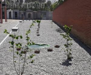 Almese, l'Oasi della rinascita: un "giardino sacro" dentro il cimitero