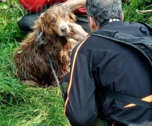 Almese: cane cade nel canale, salvato dai vigili del fuoco