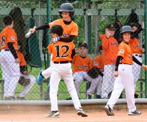 Il primo derby di Avigliana è a senso unico: dominano i Bees