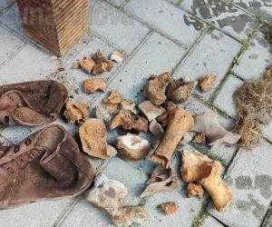 Mistero a Vaie: ritrovamento di ossa in un vecchio scantinato, locale sotto sequestro