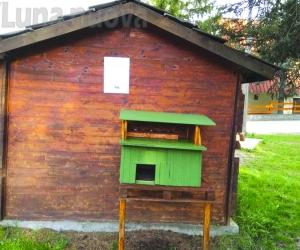 Oulx: rubate le gabbie-trappola per sterilizzare i gatti