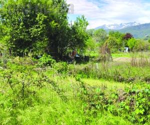 Buttigliera, al via l’assegnazione degli orti