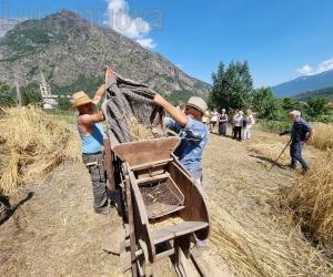 Venaus, solo una festa a metà per il grano
