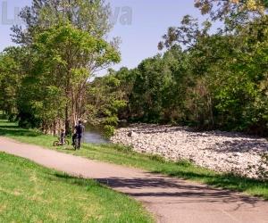 Rivalta, il parco Sangone rifiorirà in autunno