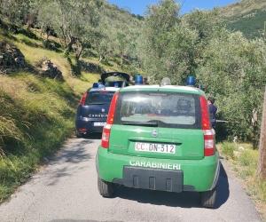 Collegno, morto anche il marito dopo il rogo nell'oliveto