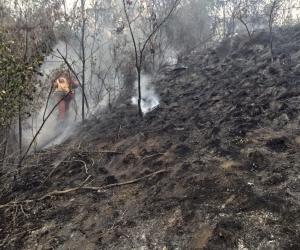 Condove: fiamme tra la Mura e Case Budrola, incendio domato