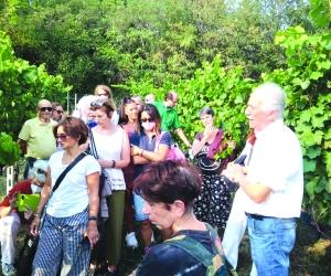 Almese, un caldo settembre per "Arte in vigna". E il Baratuciat si gode la sua festa