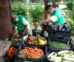 Grugliasco, in sei mesi recuperate 4 tonnellate di cibo