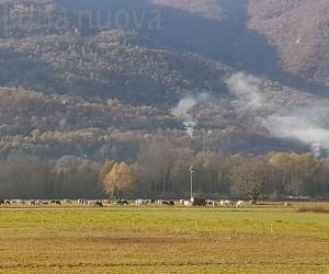 Fuochi vietati, la rivolta dei castagni valsusini