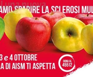 Nel week-end in valli e cintura torna in piazza "La mela di Aism"