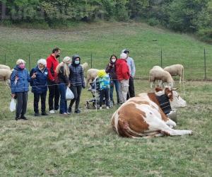 Fiera Franca di Oulx, fra Covid e lacrime