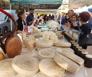 Condove ritrova la sua Toma: sabato e domenica la Fiera al 31° atto
