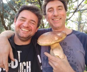 Giaveno, sei chili di funghi in pochi metri: la gioia dei due boulajour