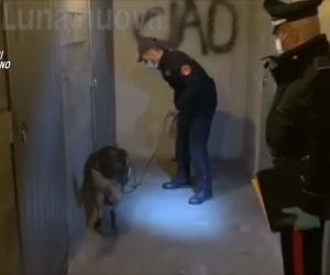 Rivoli, blitz antidroga nel palazzo di Cascine Vica