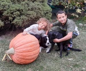 S.Didero, la super zucca regalata alla scuola dell'infanzia