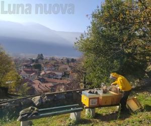 Condove: Dijo Apicoltura conquista "Ferrere miele"