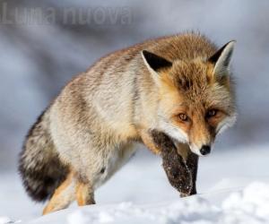 Sangano, l’amore per la natura in un click