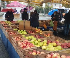 Caprie, mela semibagnata: per la fiera una ripartenza a metà