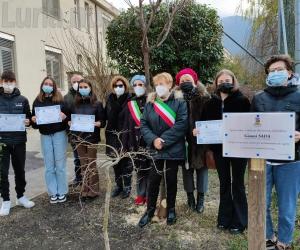 S.Antonino: un albero per il professor Gianni Sada