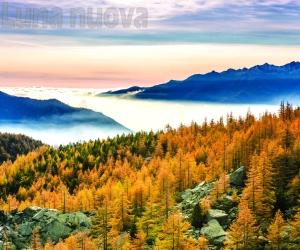 "La mia foto alla Luna-Autunno": che poesia i larici gialli di Fulvio Giorgi