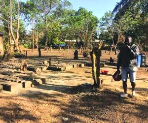 Coltivare il riso: Almese verso la Guinea con "Altri Mondi"