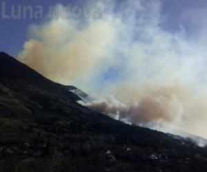 Almese: fondi in arrivo contro gli incendi nella pineta