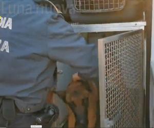 Cintura sud, la droga arriva in taxi: sei denunce
