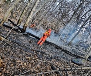 Vaie: domenica in fiamme i boschi sotto il Folatone