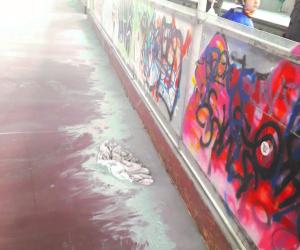 Rivoli, vandali in azione sulla pista di pattinaggio