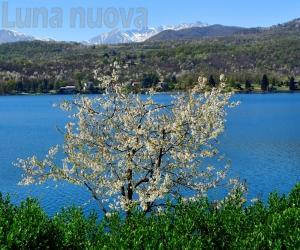 Riprendiamoci la primavera inviando "La mia foto alla Luna"